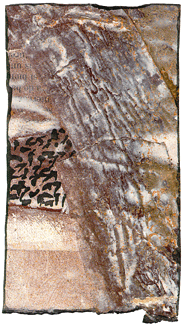 cochand.gif (190649 octets)